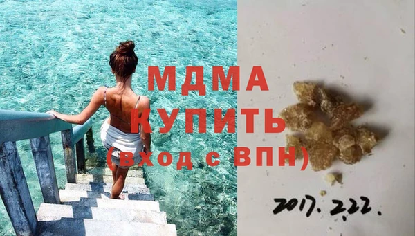индика Аркадак