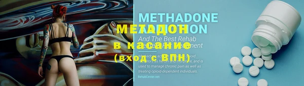индика Аркадак