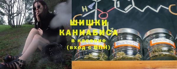 индика Аркадак