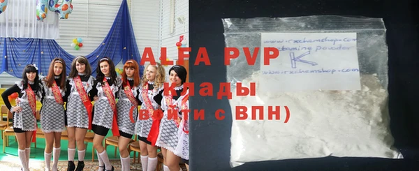 индика Аркадак