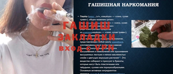 индика Аркадак