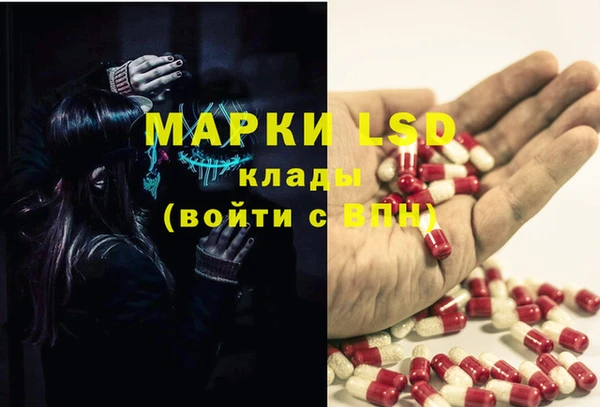 индика Аркадак