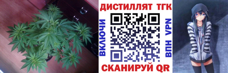 Дистиллят ТГК гашишное масло  Полярный 